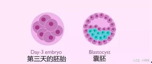 取精子过程图片,揭秘男性生育奥秘