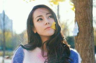 维字的明星,揭秘维字明星的璀璨人生